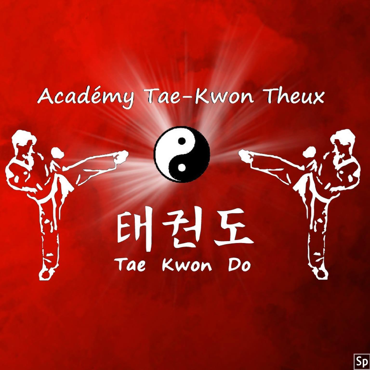 Academy tae-kwon theux