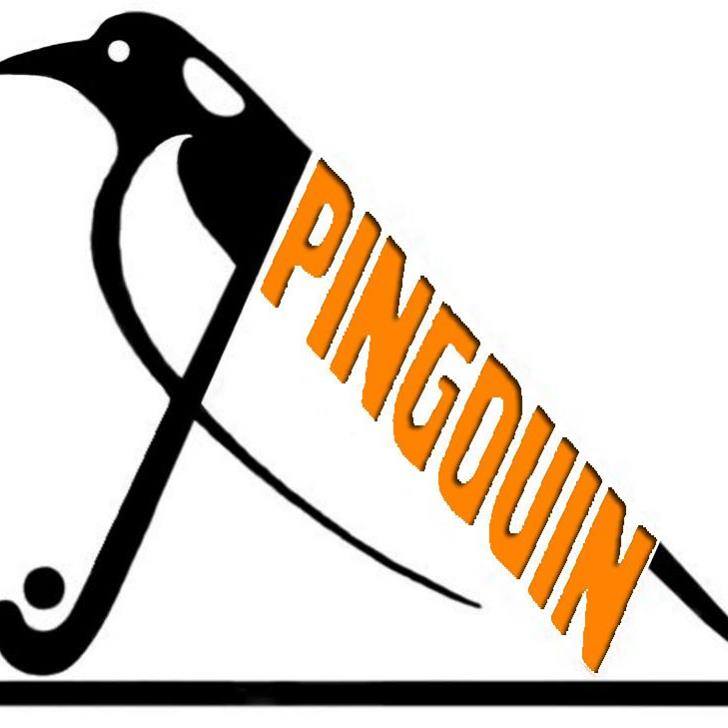 Royal Pingouin Hockey Club Nivellois