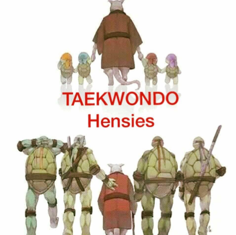 Taekwondo Hensies
